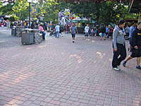 Kiddie Land pavers and stone circle kits
