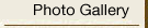 Photo Gallery