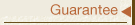 Guarantee