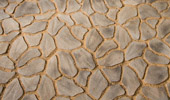 Dynaprint Paving Stones